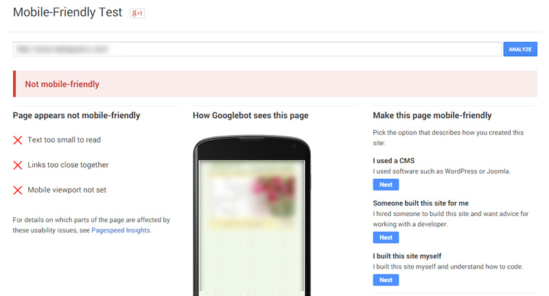 Google Not a Mobile Friendly Site